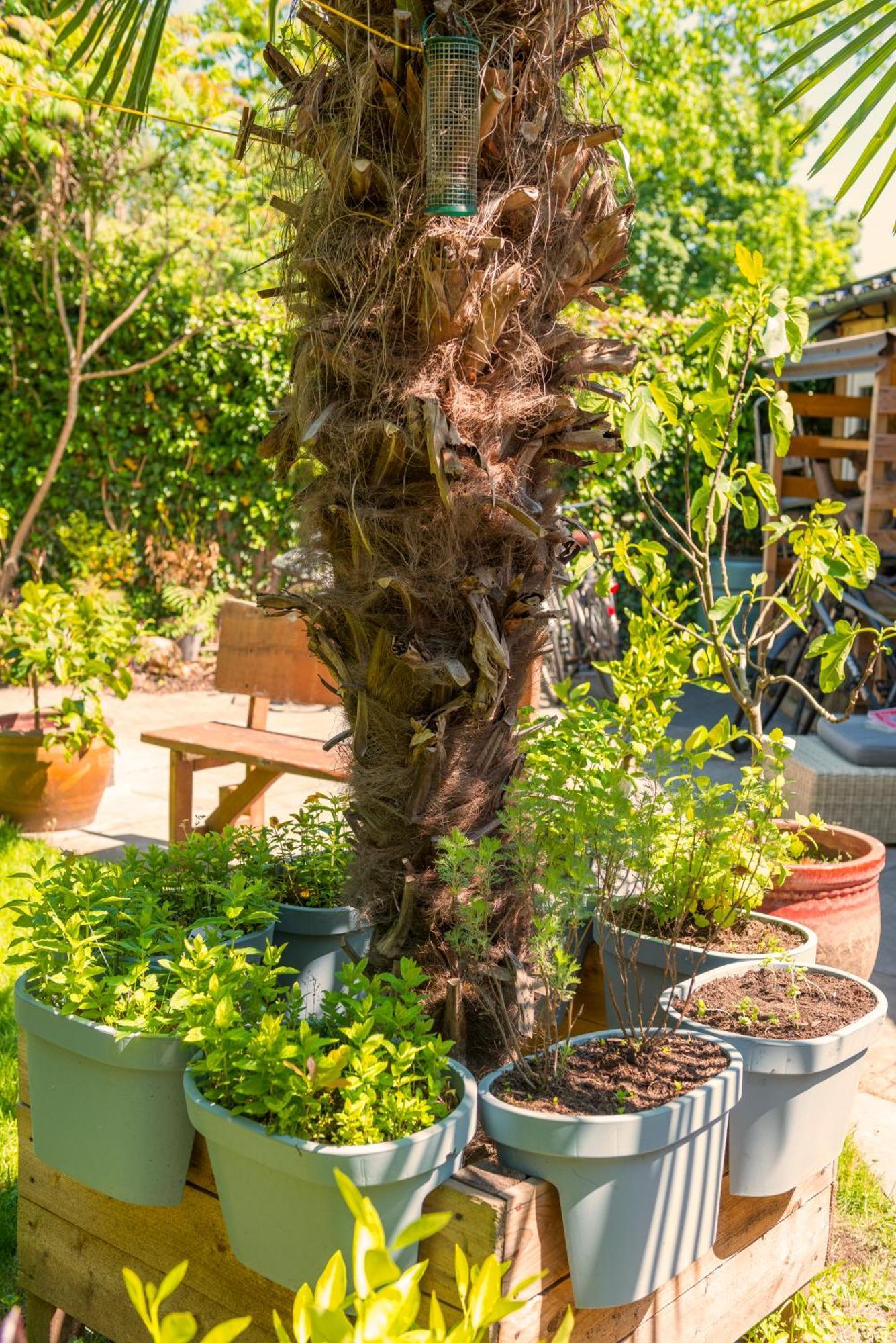 Cozy House - Leenfietsen, Eigen Keuken En Badkamer Nimwegen Exterior foto